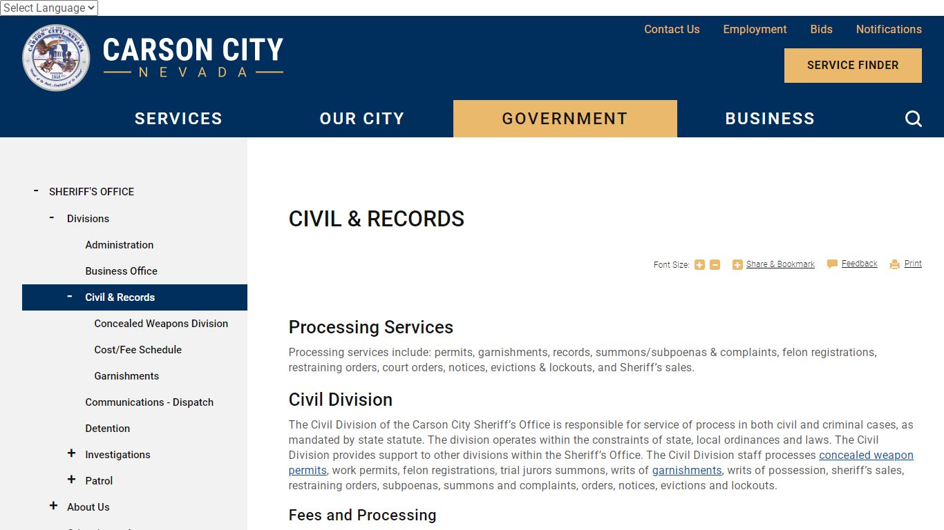 Civil & Records | Carson City